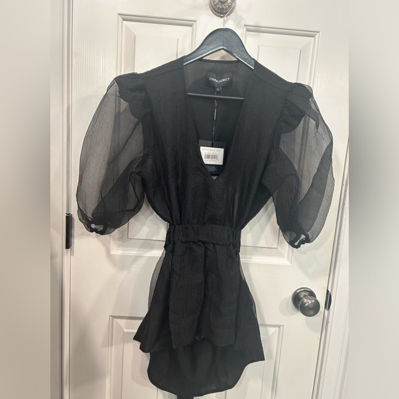 Cynthia Rowley New With Tags Attached Gracie Organza Top in a Size Large - Picture 13 of 16